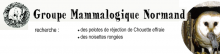 Le Groupe Mammalogique Normand recherche des observateurs.